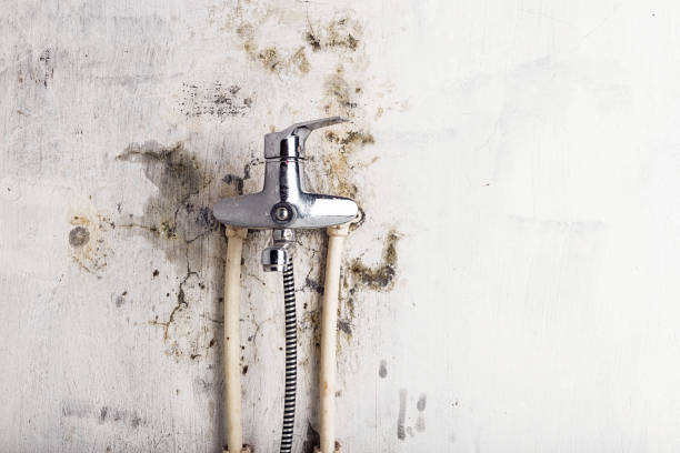 Best Mold Testing and Inspection Services in Hidden Valley, IN